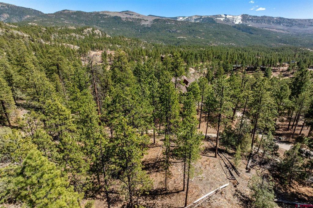 91 Ambush Canyon Property Photo 15