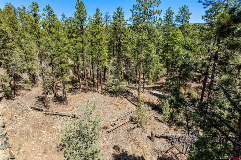 91 Ambush Canyon Property Photo 16