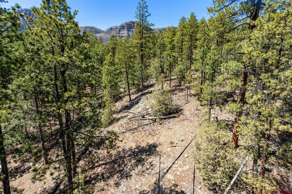91 Ambush Canyon Property Photo 17