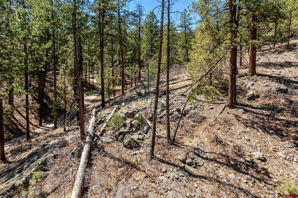 91 Ambush Canyon Property Photo 18