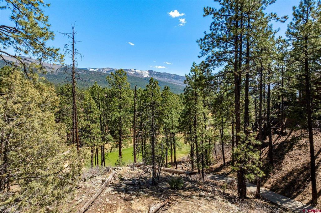 91 Ambush Canyon Property Photo 19