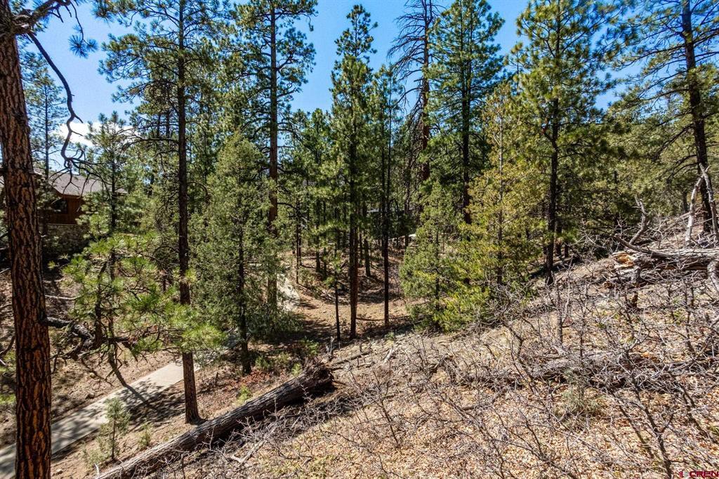 91 Ambush Canyon Property Photo 20