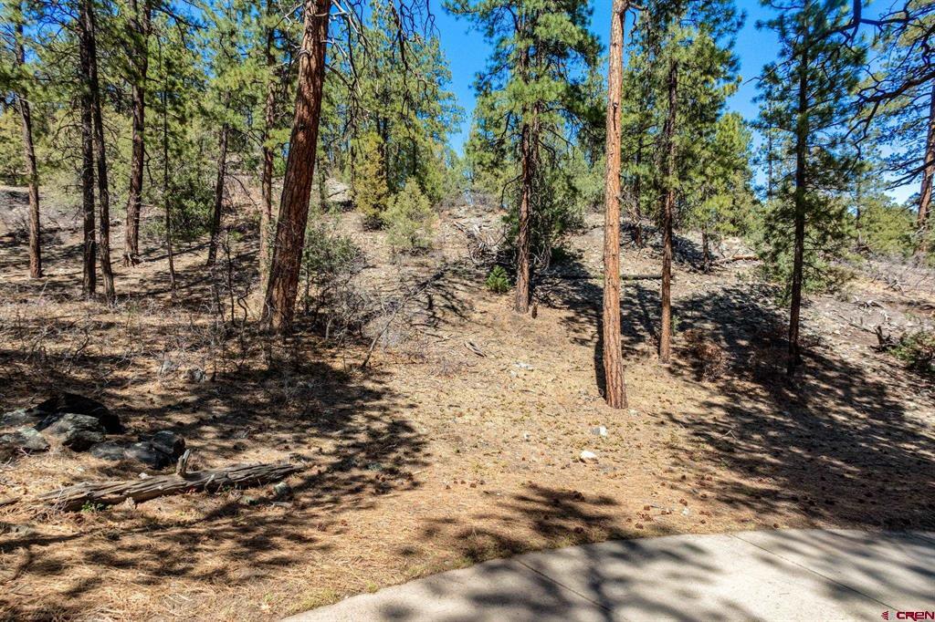 91 Ambush Canyon Property Photo 21