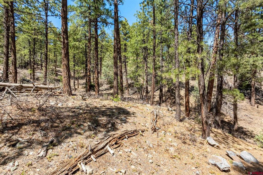 91 Ambush Canyon Property Photo 22