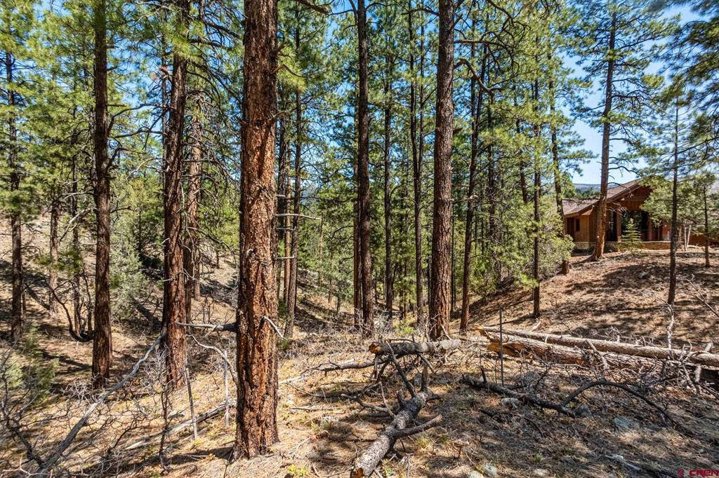 91 Ambush Canyon Property Photo 23