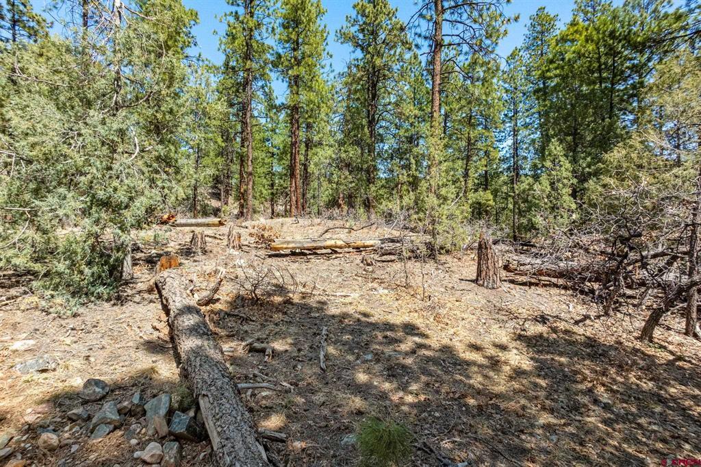 91 Ambush Canyon Property Photo 24