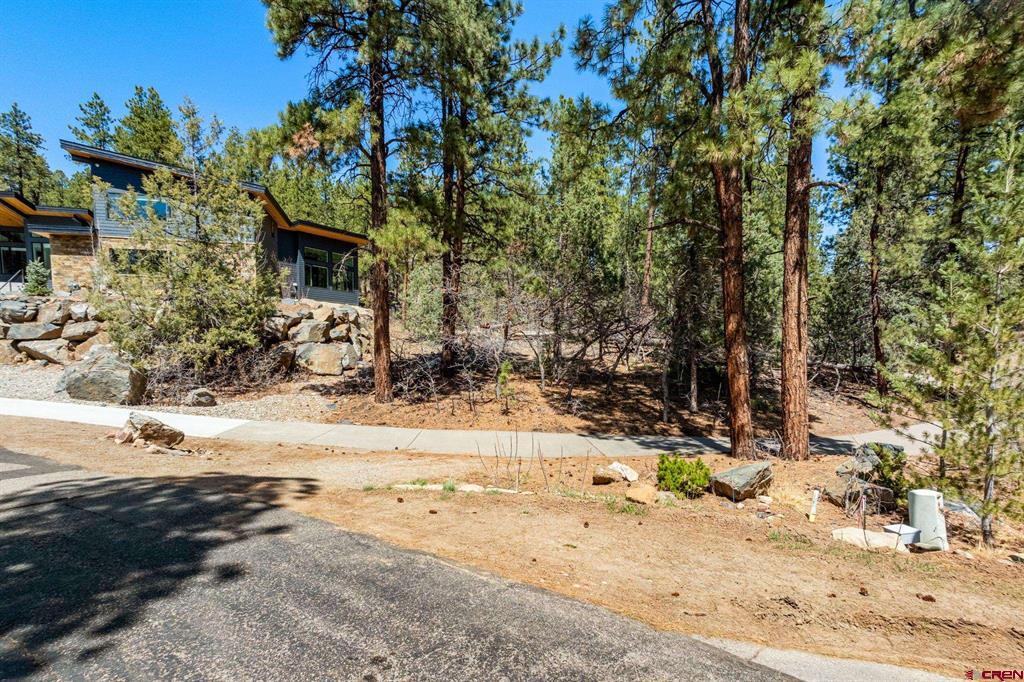 91 Ambush Canyon Property Photo 26