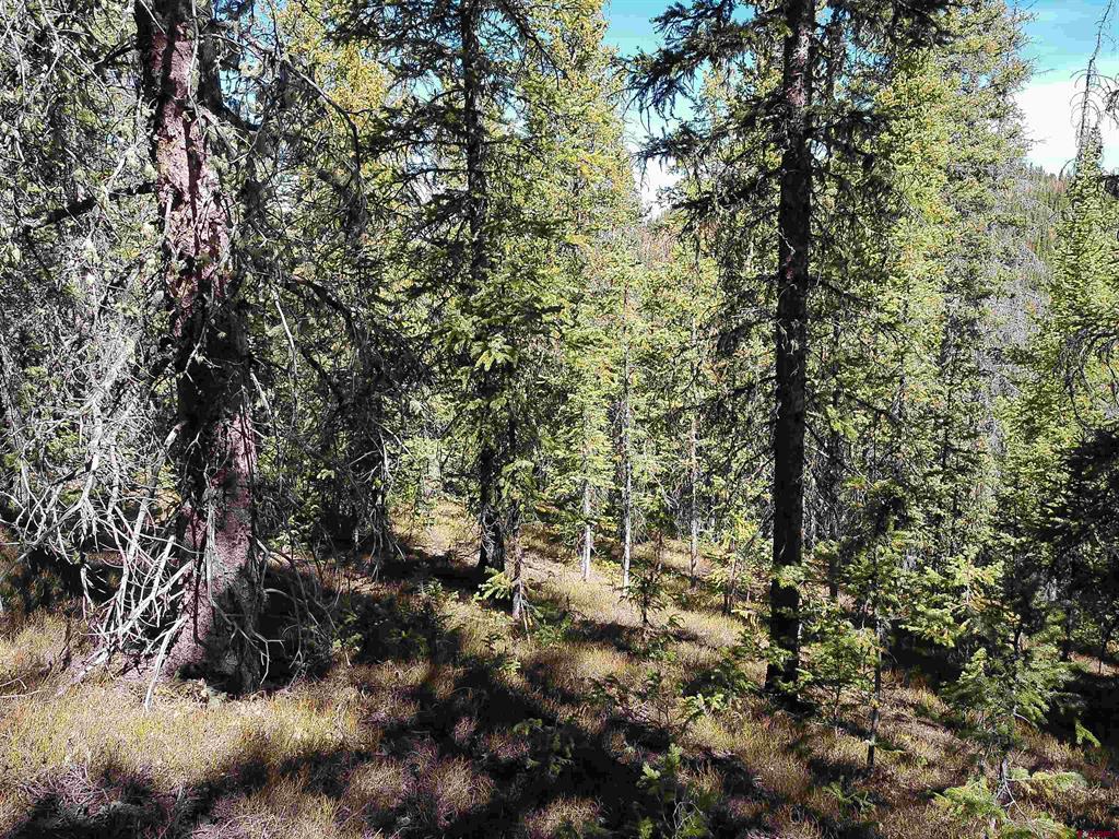 No Known Address Road Property Photo 8