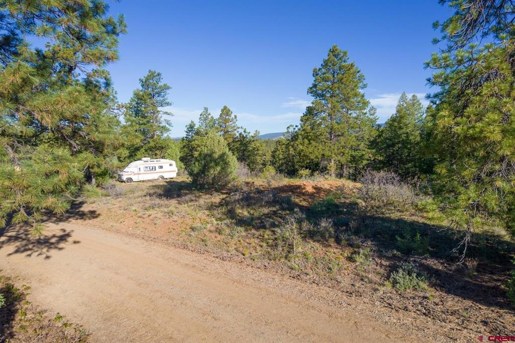 157 Carey's Court Property Photo 7