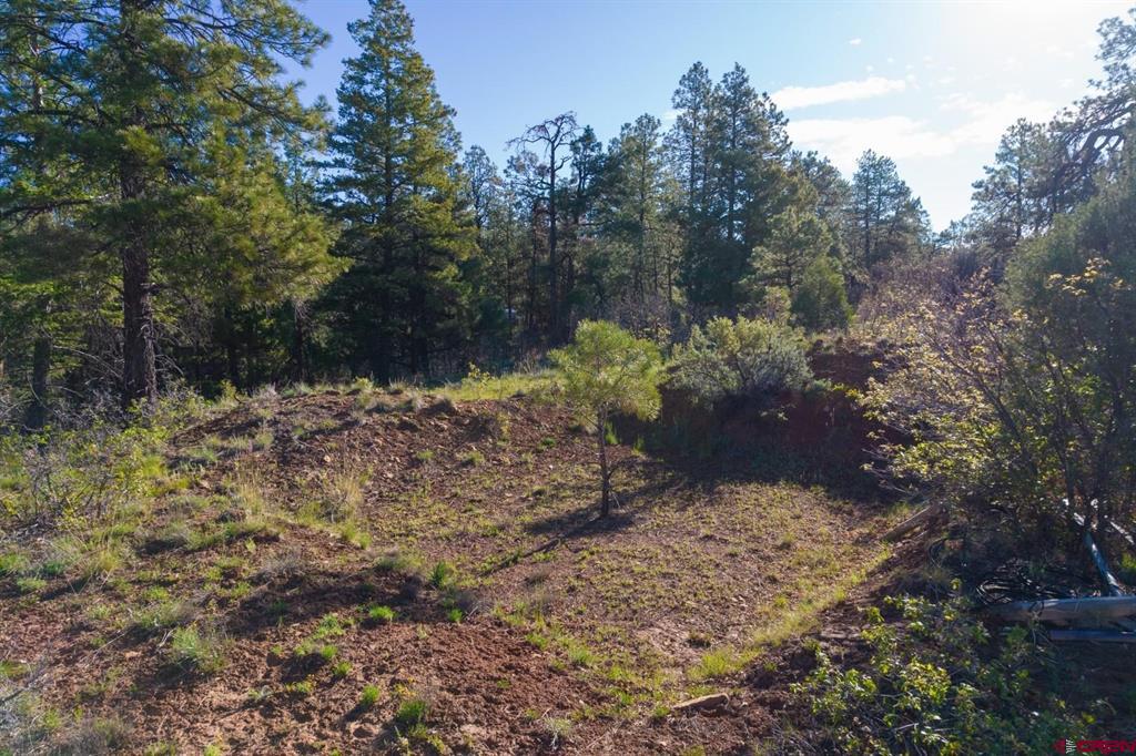 157 Carey's Court Property Photo 10