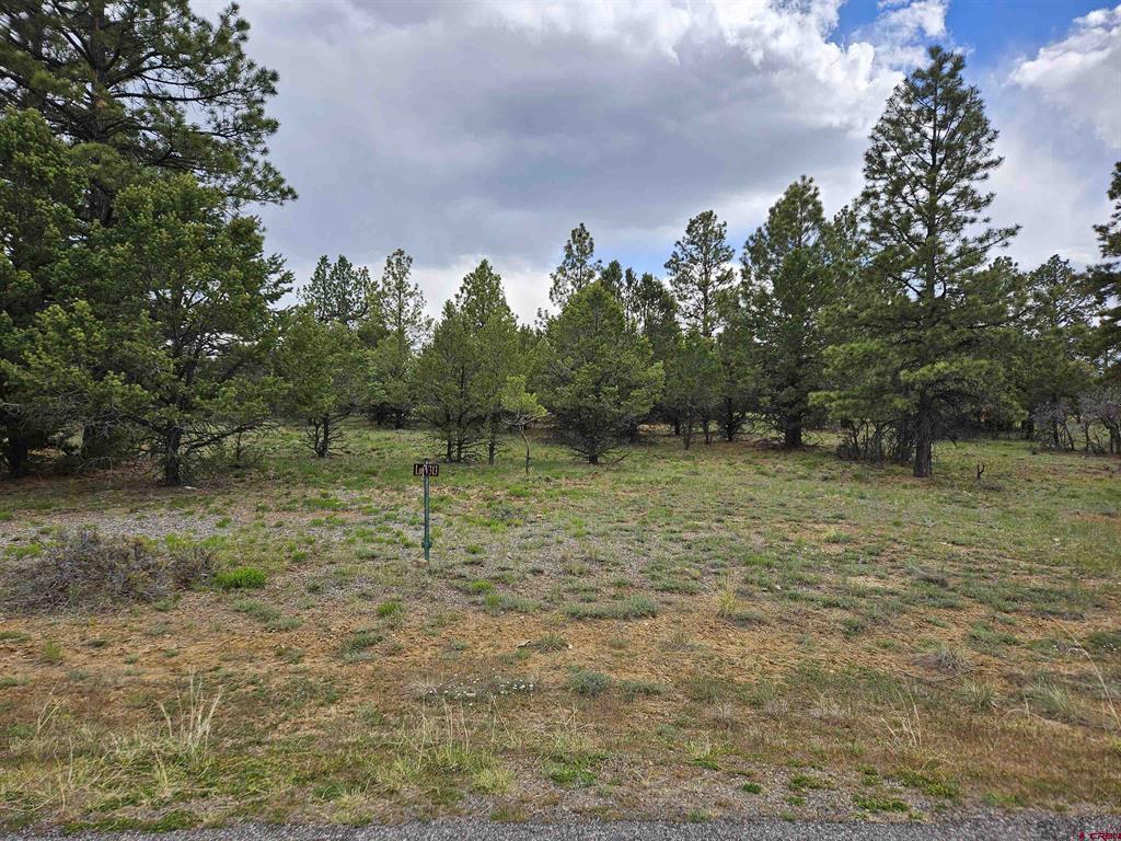 TBD Marmot Drive Property Photo 1