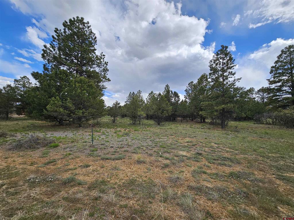 Tbd Marmot Drive Property Photo 3