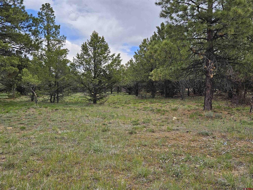 Tbd Marmot Drive Property Photo 4