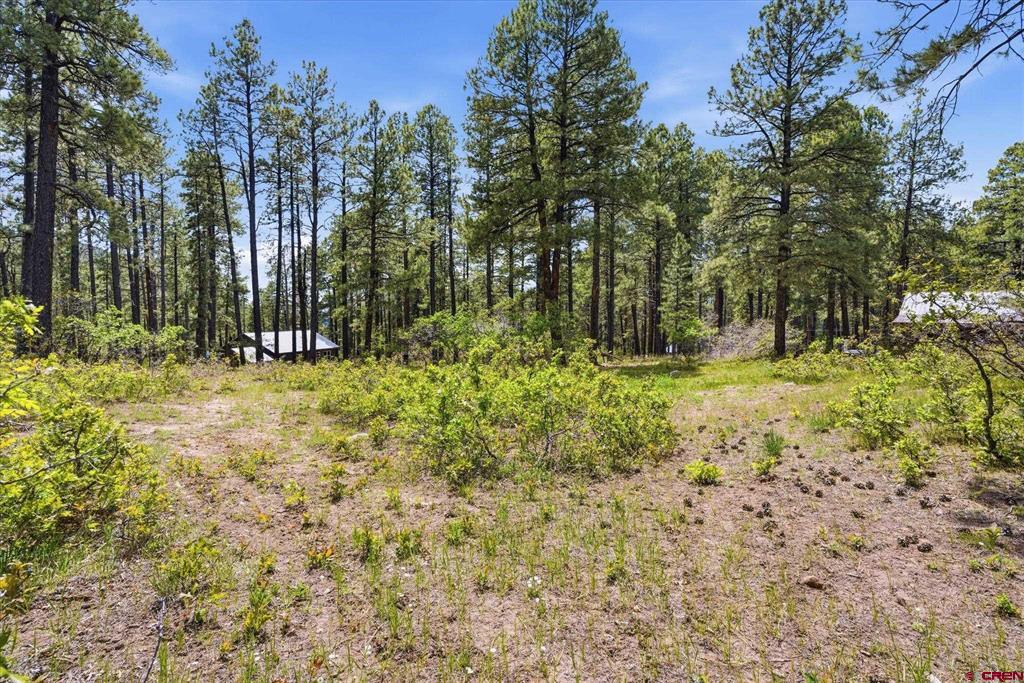 14 Pine Cone Drive Property Photo 38