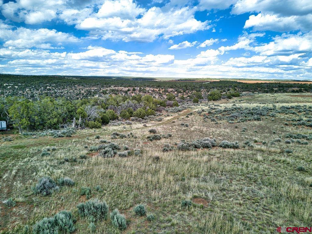 28374 Road 17.5 Property Photo 6