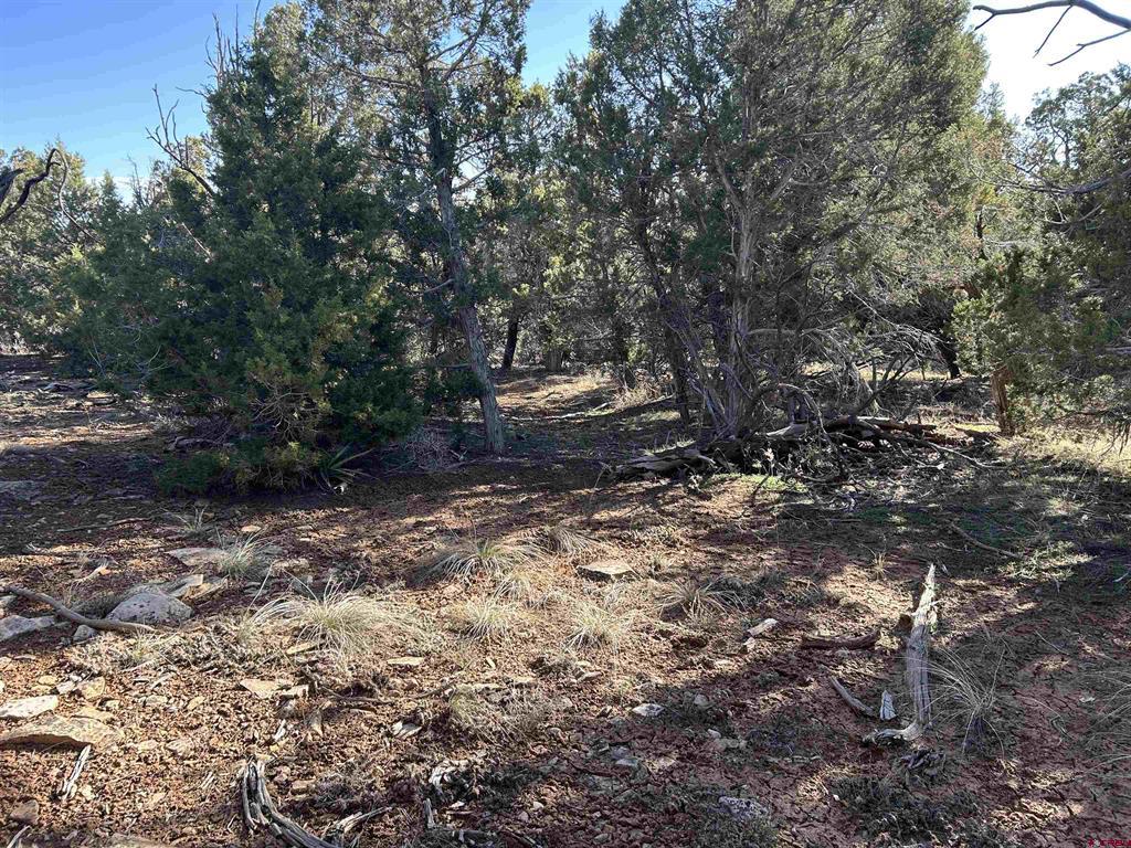 28374 Road 17.5 Property Photo 7