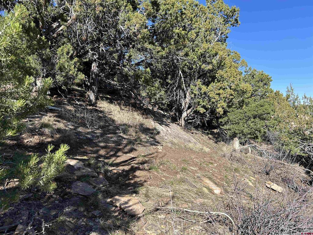 28374 Road 17.5 Property Photo 12