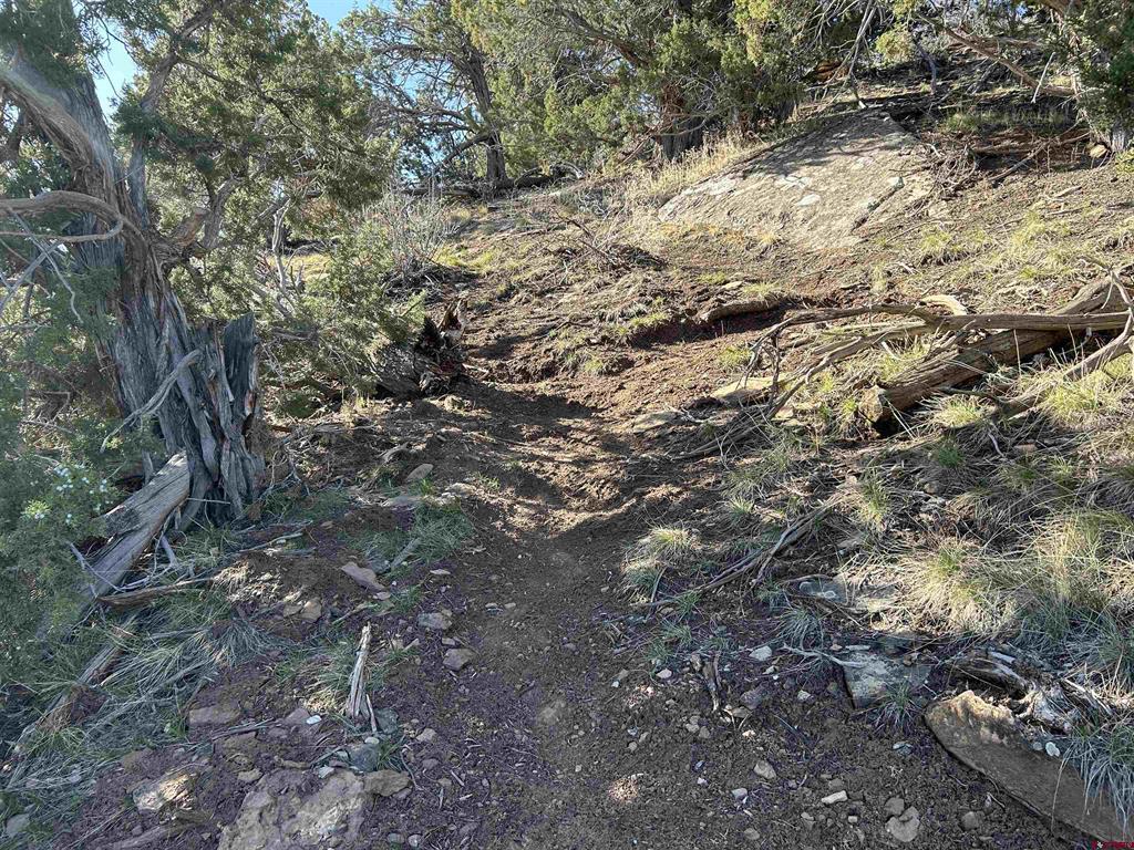 28374 Road 17.5 Property Photo 13