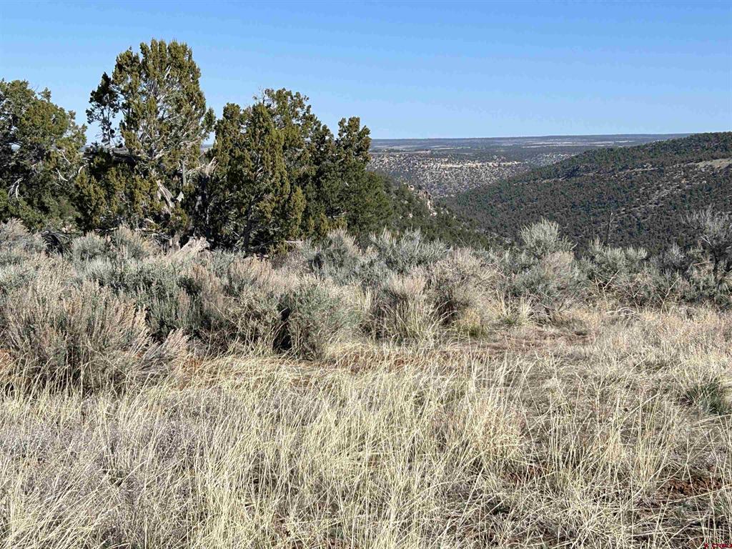 28374 Road 17.5 Property Photo 16