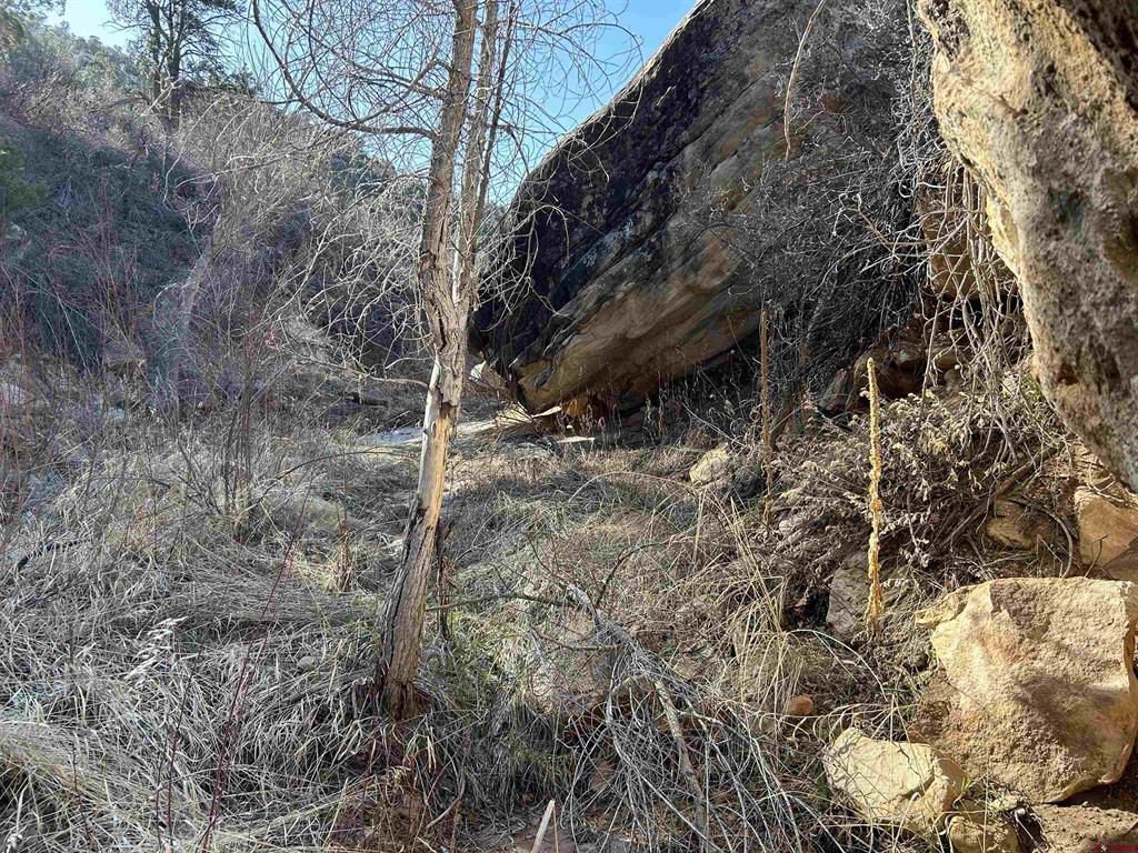 28374 Road 17.5 Property Photo 20