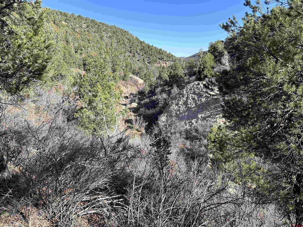 28374 Road 17.5 Property Photo 22
