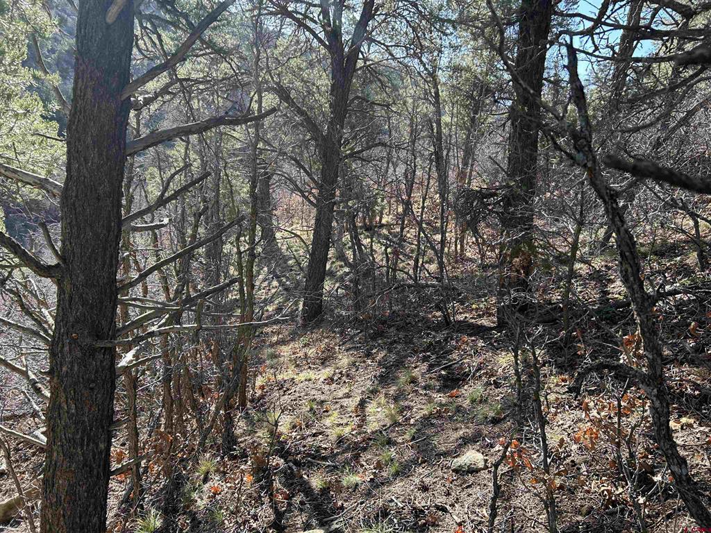 28374 Road 17.5 Property Photo 23