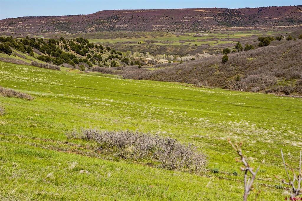 Tbd Rilling Canyon Property Photo 26