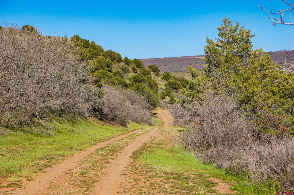 Tbd Rilling Canyon Property Photo 31