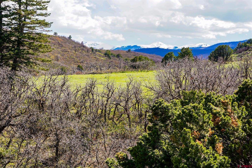 Tbd Rilling Canyon Property Photo 32