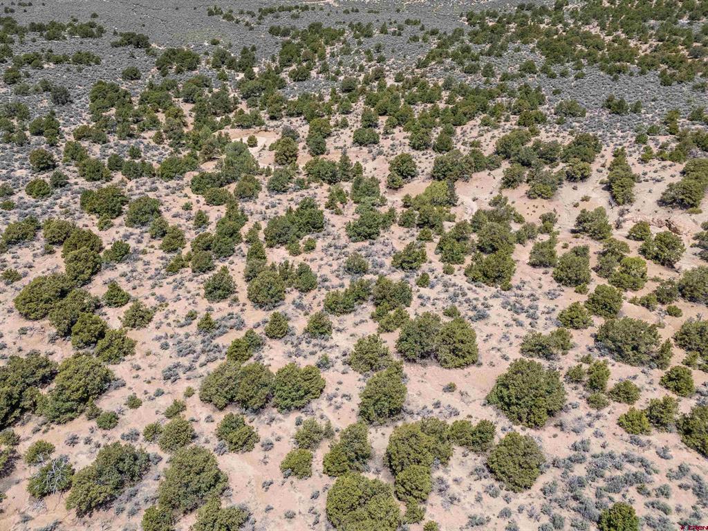 Tbd Countyrd 20.5 Property Photo 11