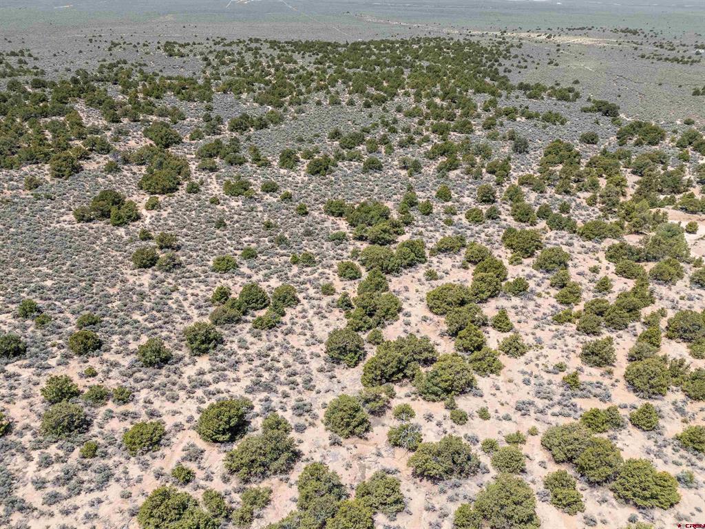 Tbd Countyrd 20.5 Property Photo 12