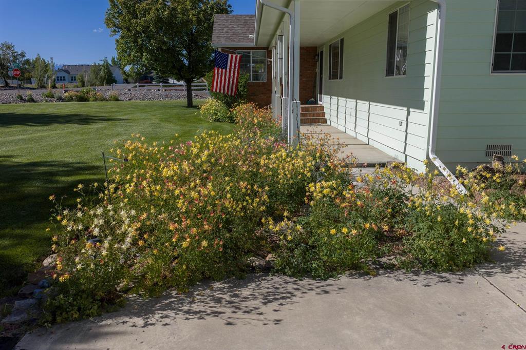20691 Tulip Circle Property Photo 6