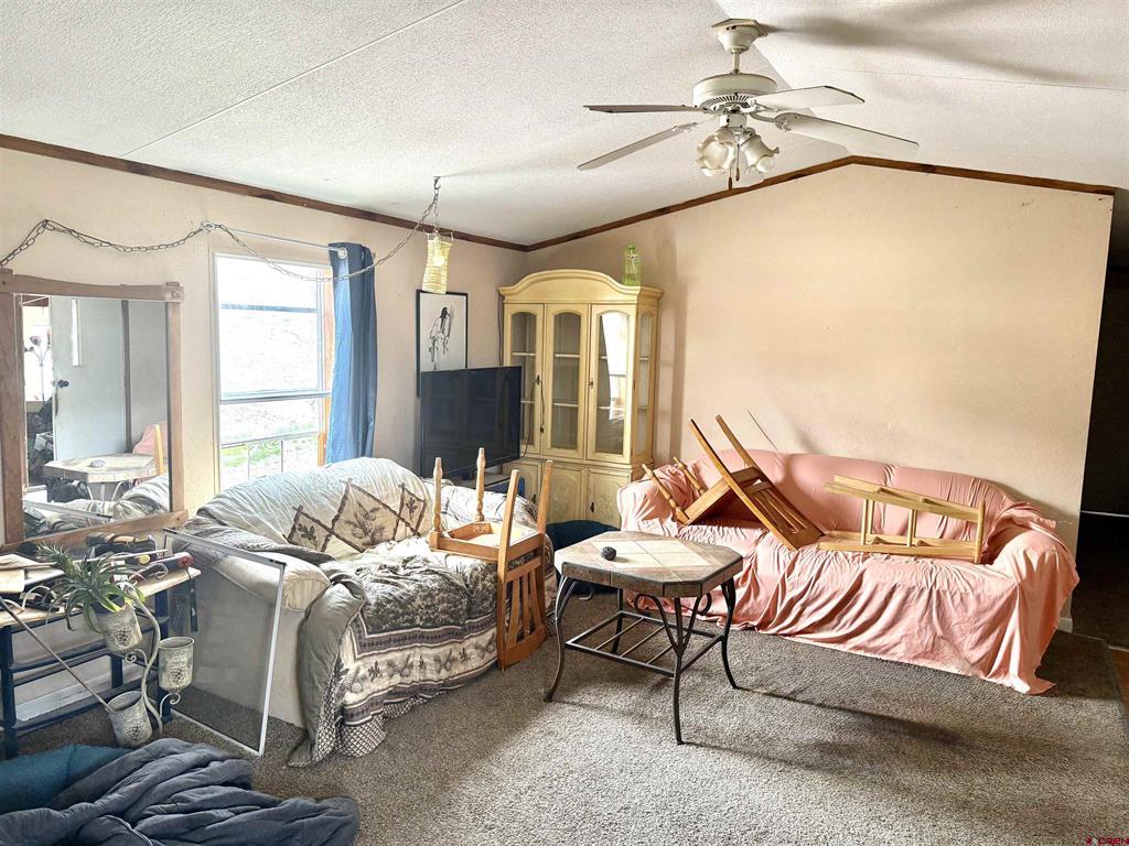 67729 Lasalle Road Property Photo 3