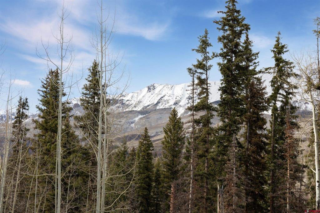 457 Mountain Village Boulevard Property Photo 17