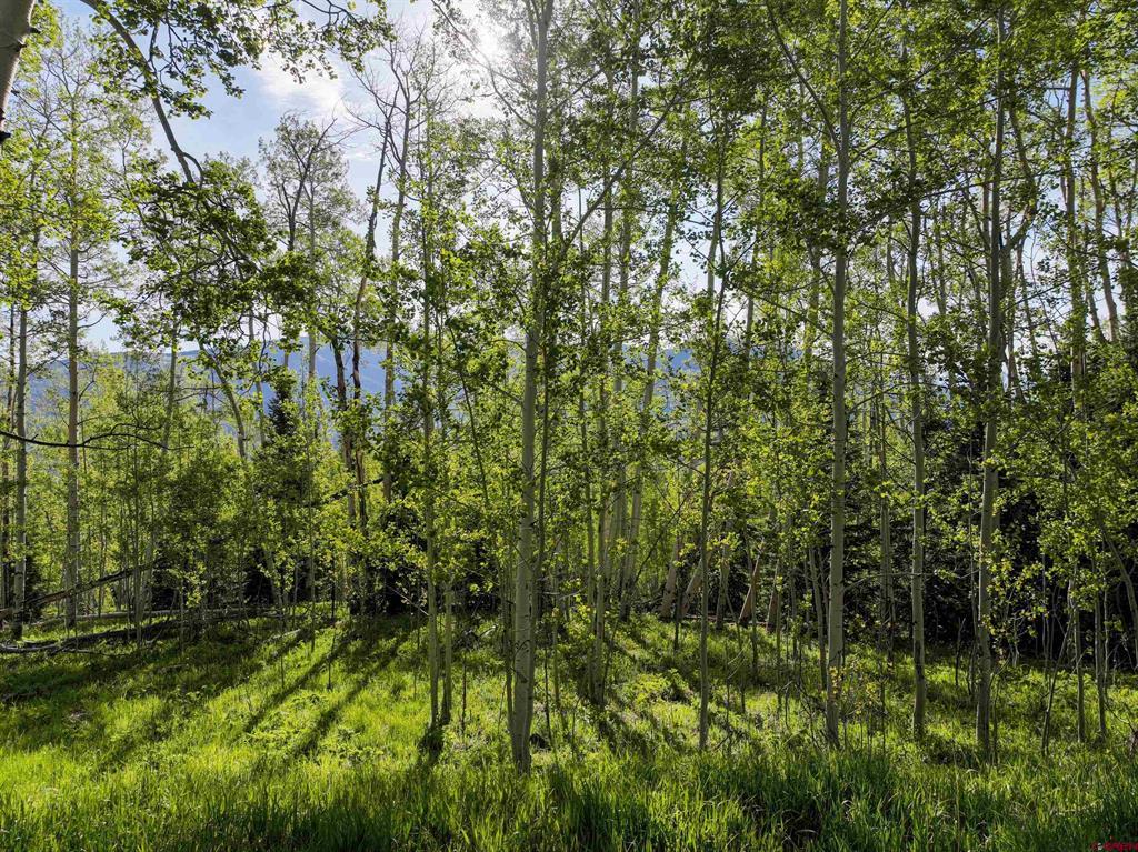 Tbd Oversteeg Gulch Road Property Photo 4