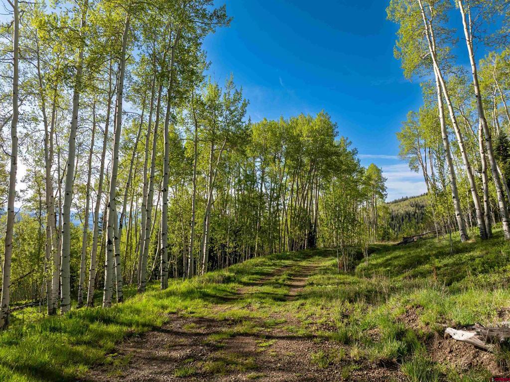 Tbd Oversteeg Gulch Road Property Photo 5