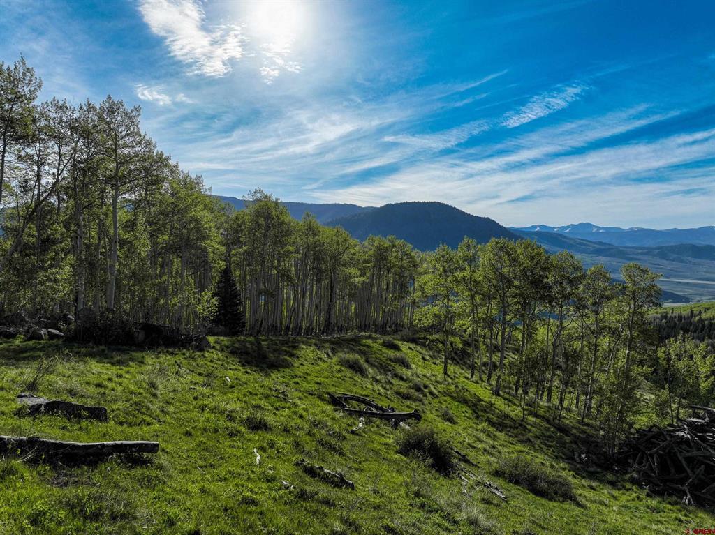 Tbd Oversteeg Gulch Road Property Photo 6