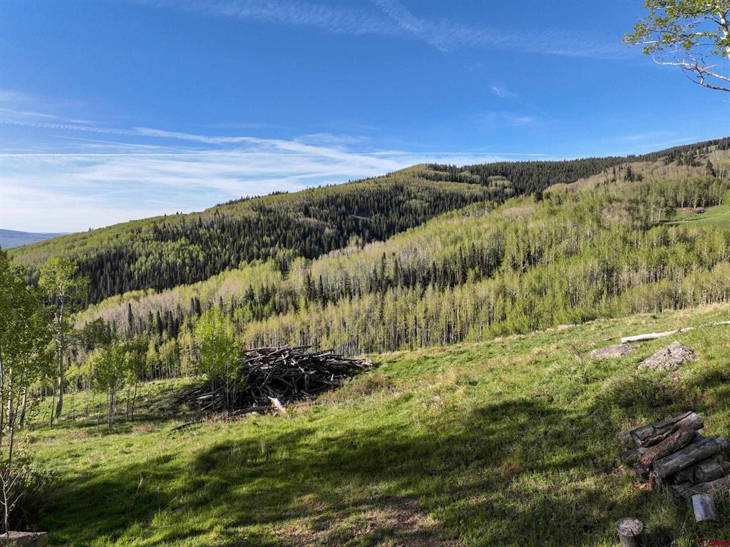 Tbd Oversteeg Gulch Road Property Photo 7