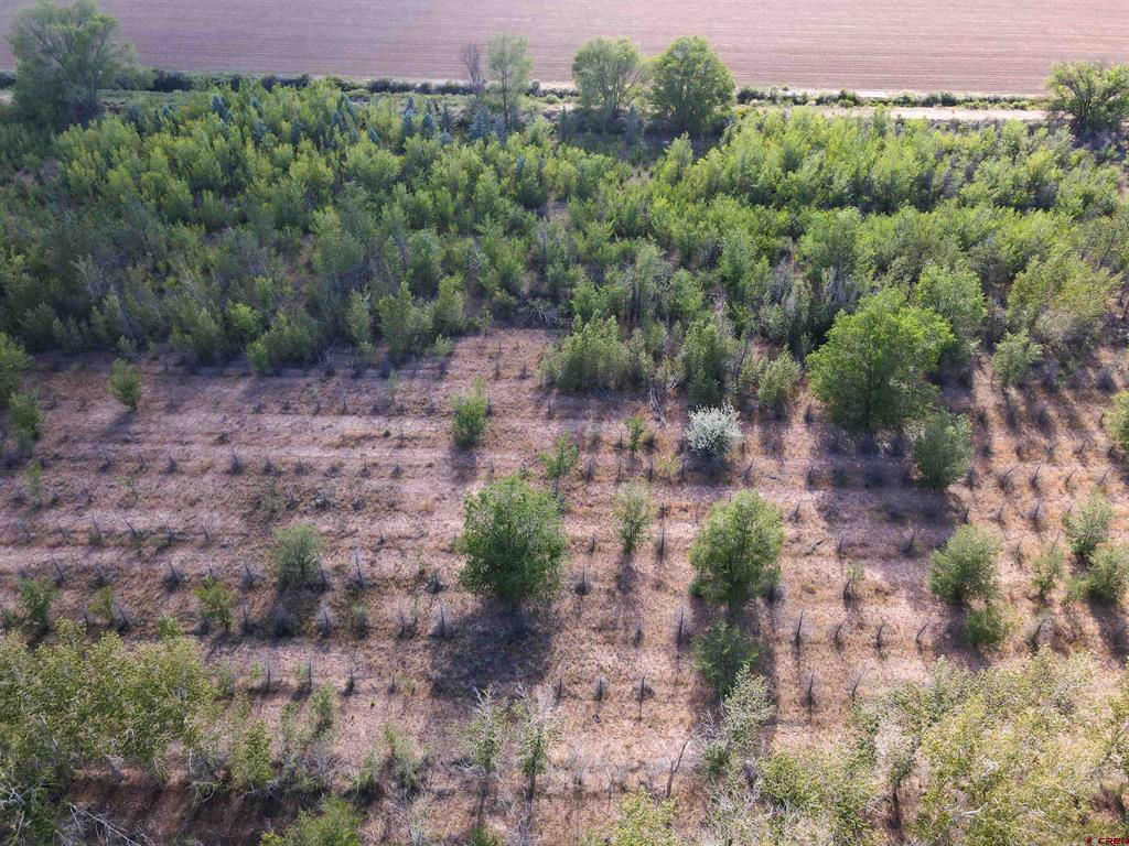Tbd Begonia Road Property Photo 2