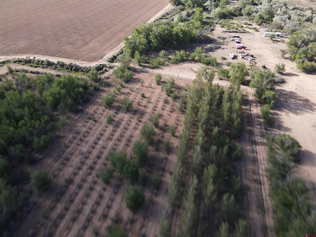 Tbd Begonia Road Property Photo 3
