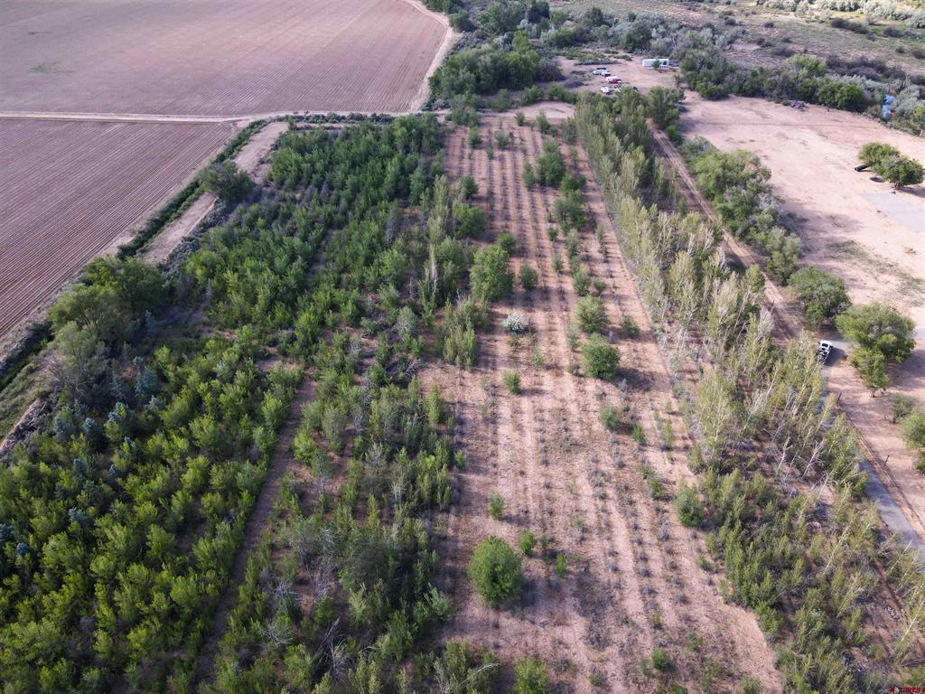 Tbd Begonia Road Property Photo 5