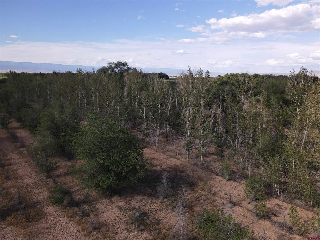 Tbd Begonia Road Property Photo 6