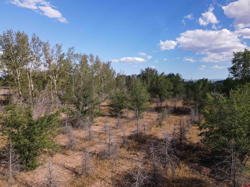 Tbd Begonia Road Property Photo 8