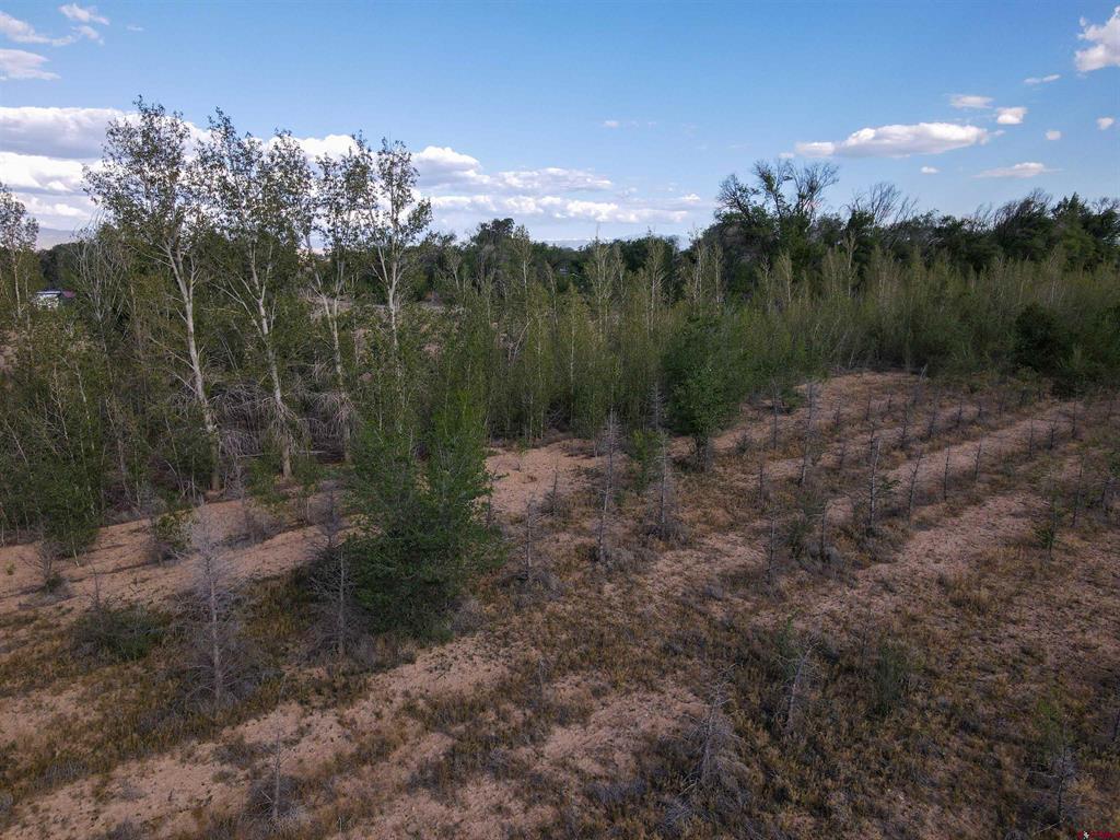 Tbd Begonia Road Property Photo 10