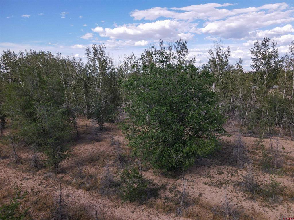 Tbd Begonia Road Property Photo 11