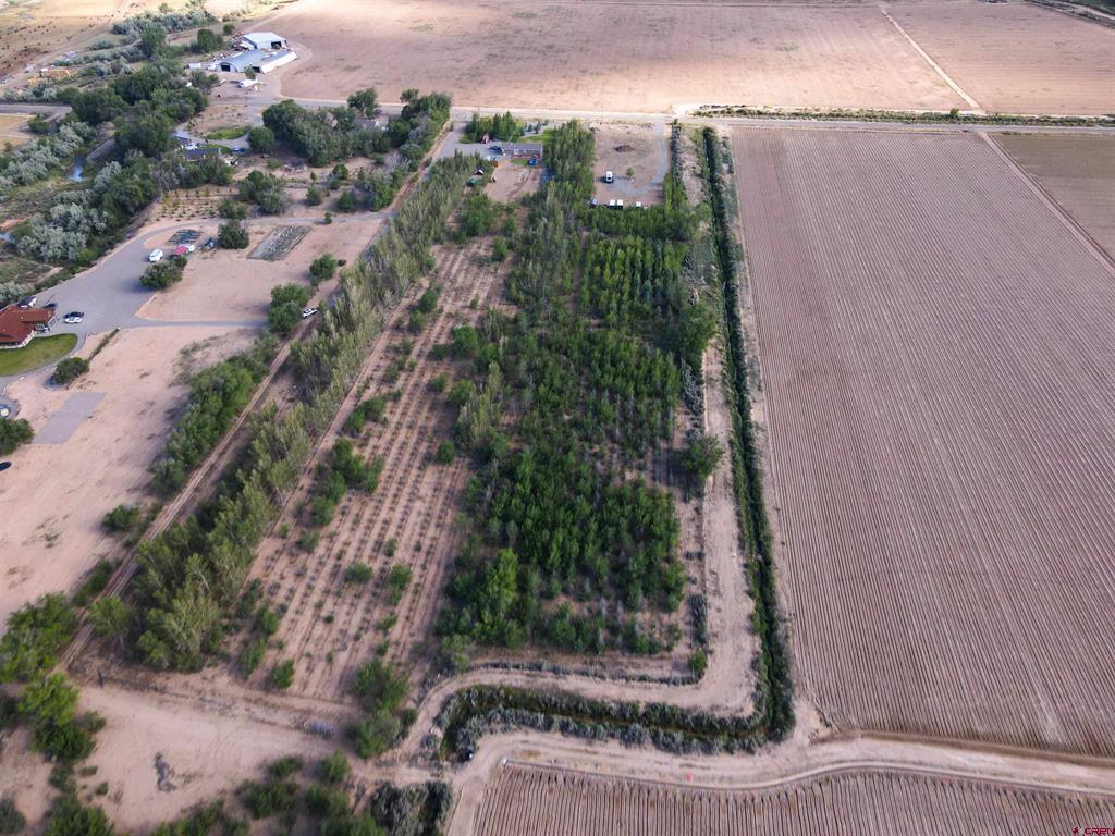 Tbd Begonia Road Property Photo 13