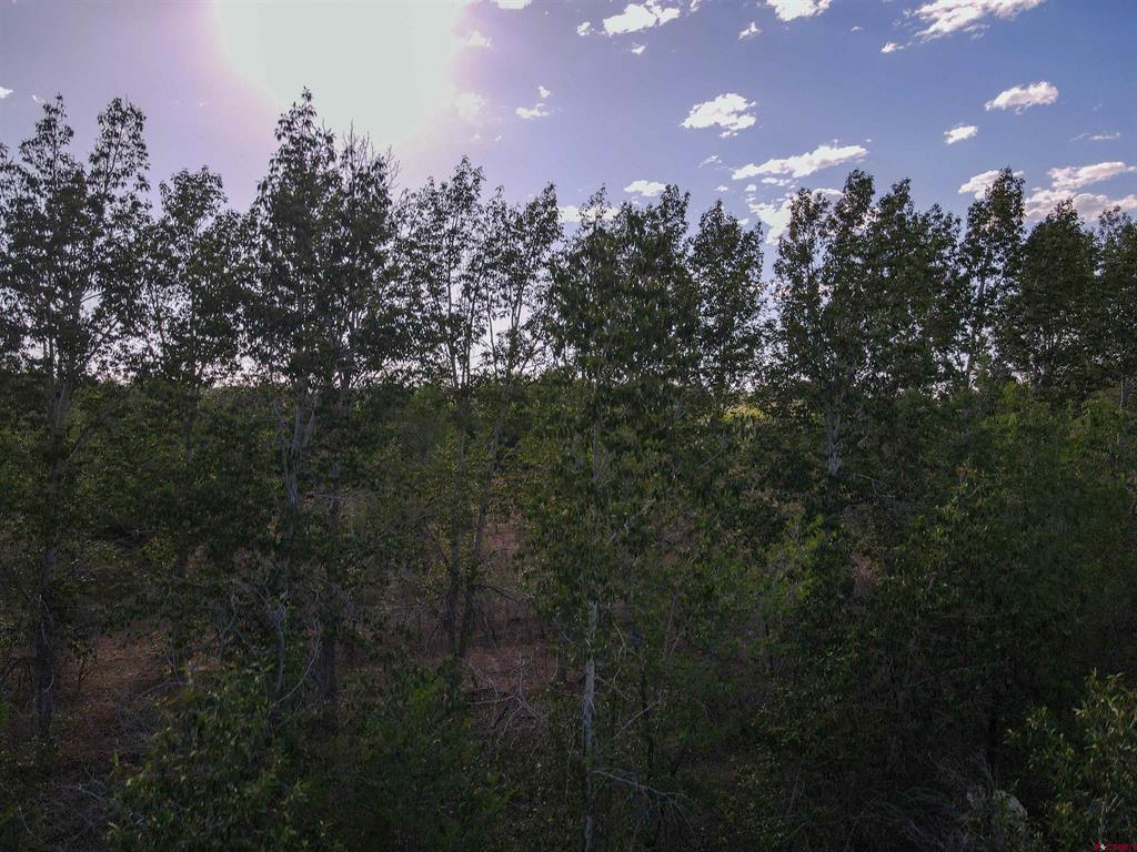 Tbd Begonia Road Property Photo 15