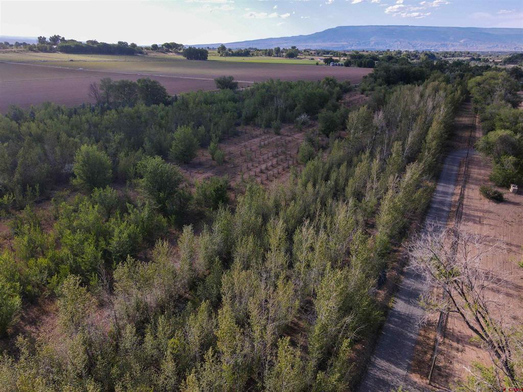 Tbd Begonia Road Property Photo 16