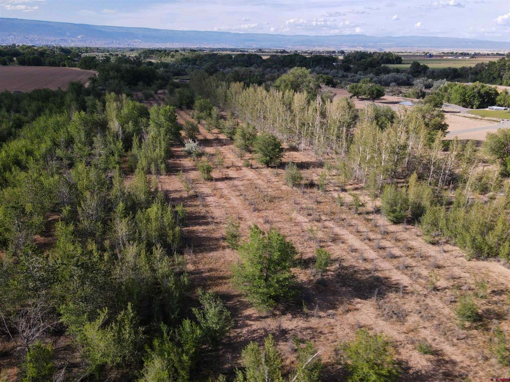 Tbd Begonia Road Property Photo 17