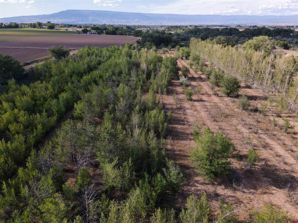 Tbd Begonia Road Property Photo 18
